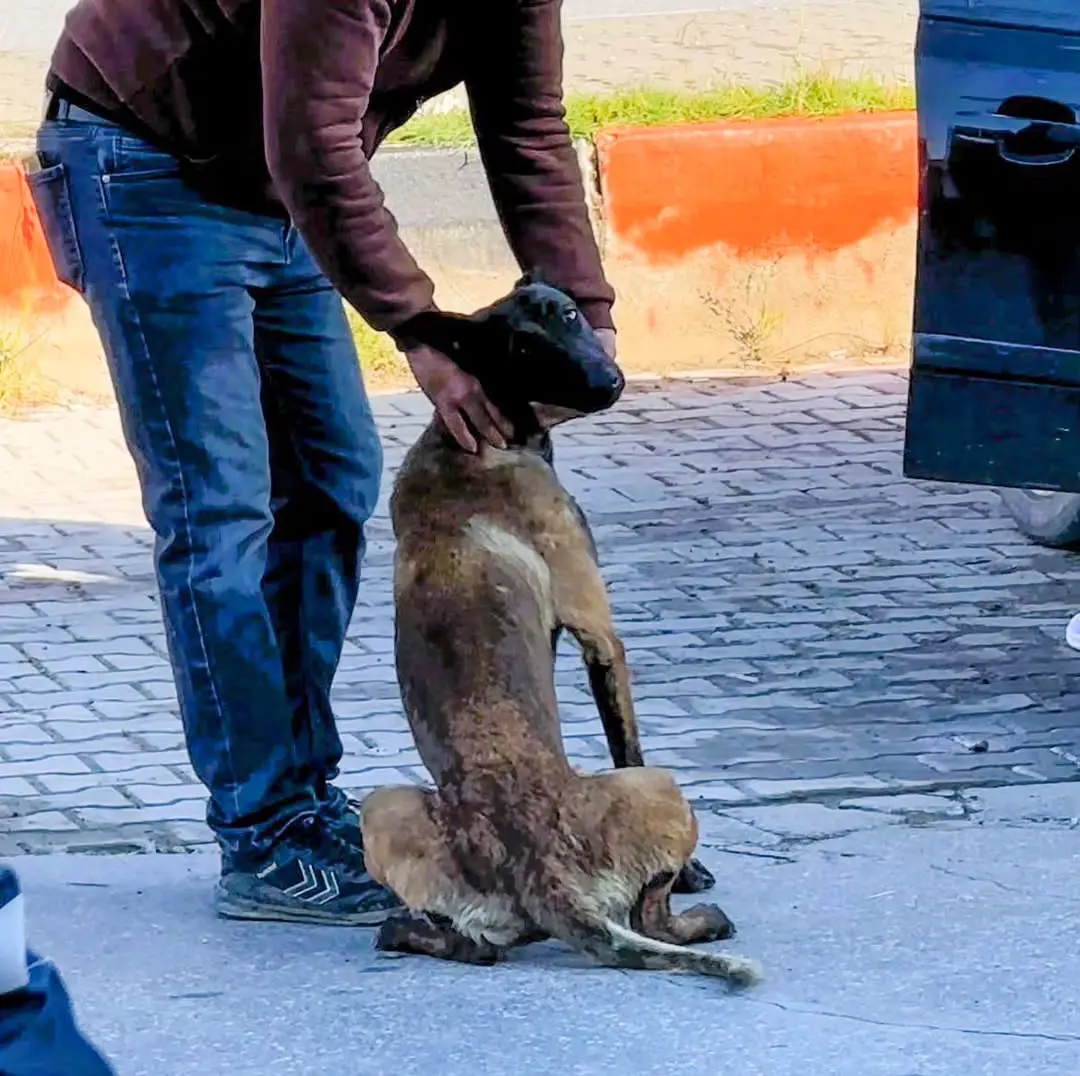 Dazkırı İlçesinde Köpek Saldırısına Uğrayan Vatandaşa Geçmiş Olsun Dilekleri