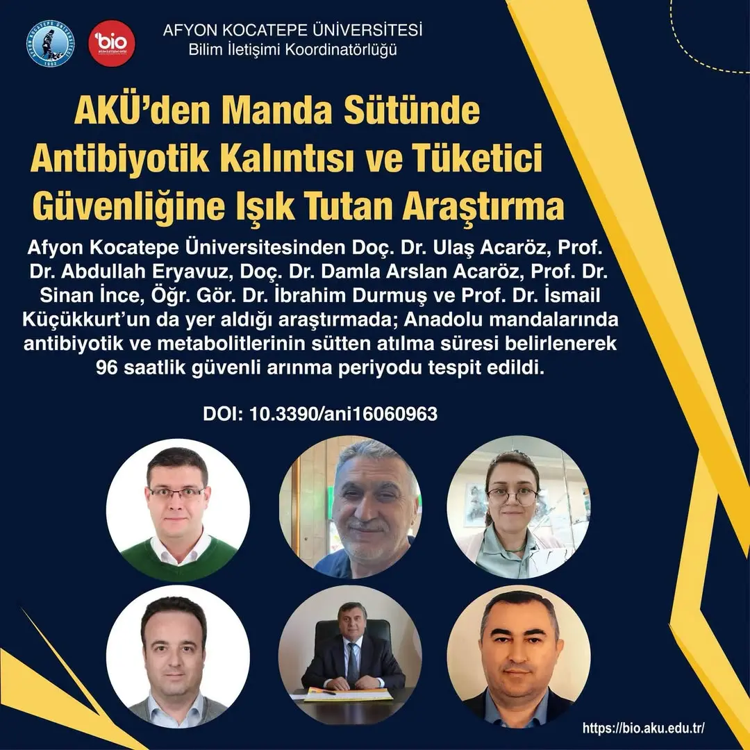 AKÜ’den Manda Sütünde Antibiyotik Kalıntısı ve Tüketici Güvenliğine Işık Tutan Araştırma