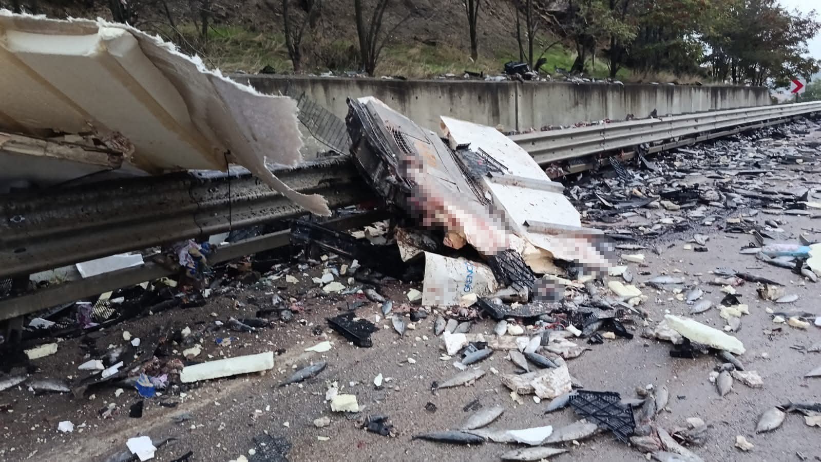 Boyabat'ta Balık Taşıyan Kamyon Devrildi: 1 Kişi Öldü