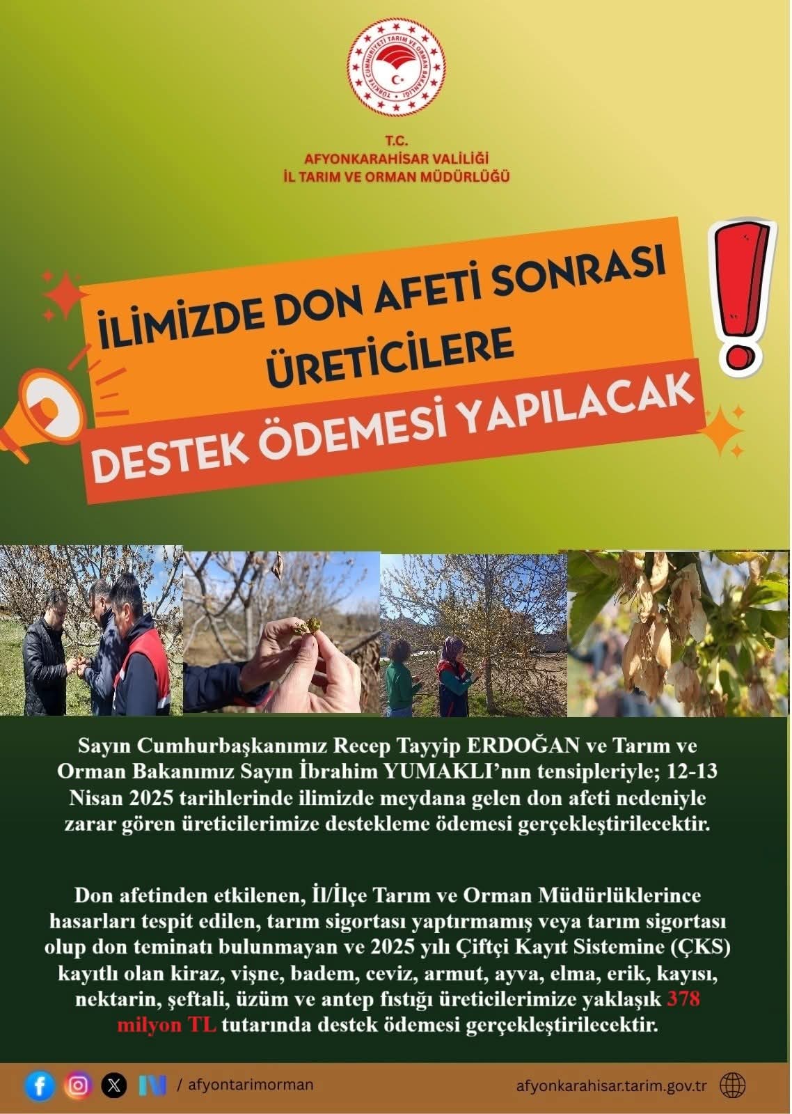 Don Afeti Sonrası Üreticilere Destek Ödemesi Yapılacak