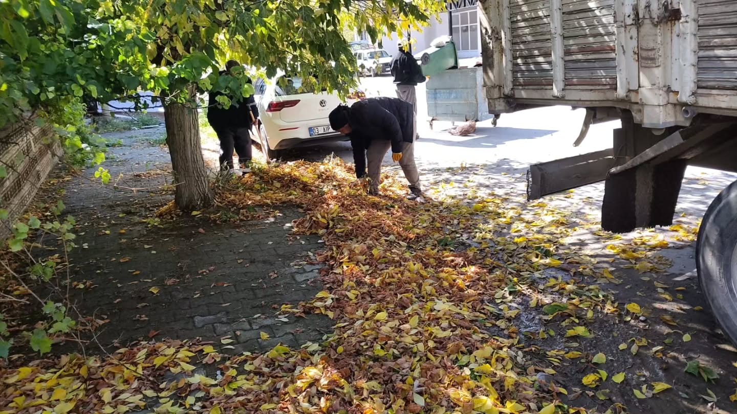 Yeni Mahalle'de Temizlik Çalışmaları Devam Ediyor