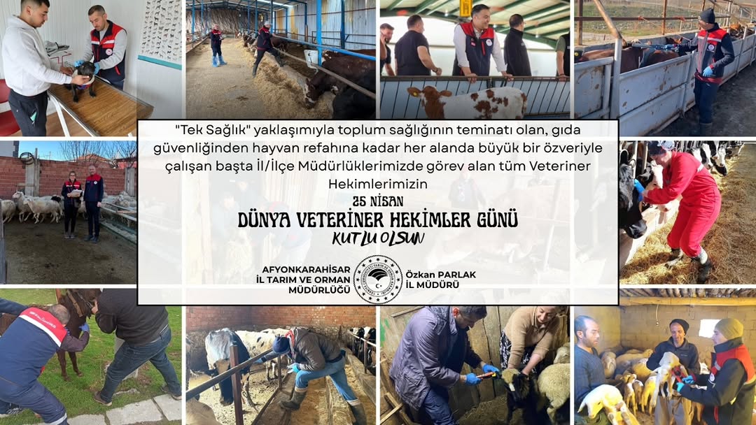 25 Nisan Dünya Veteriner Hekimler Günü Kutlu Olsun