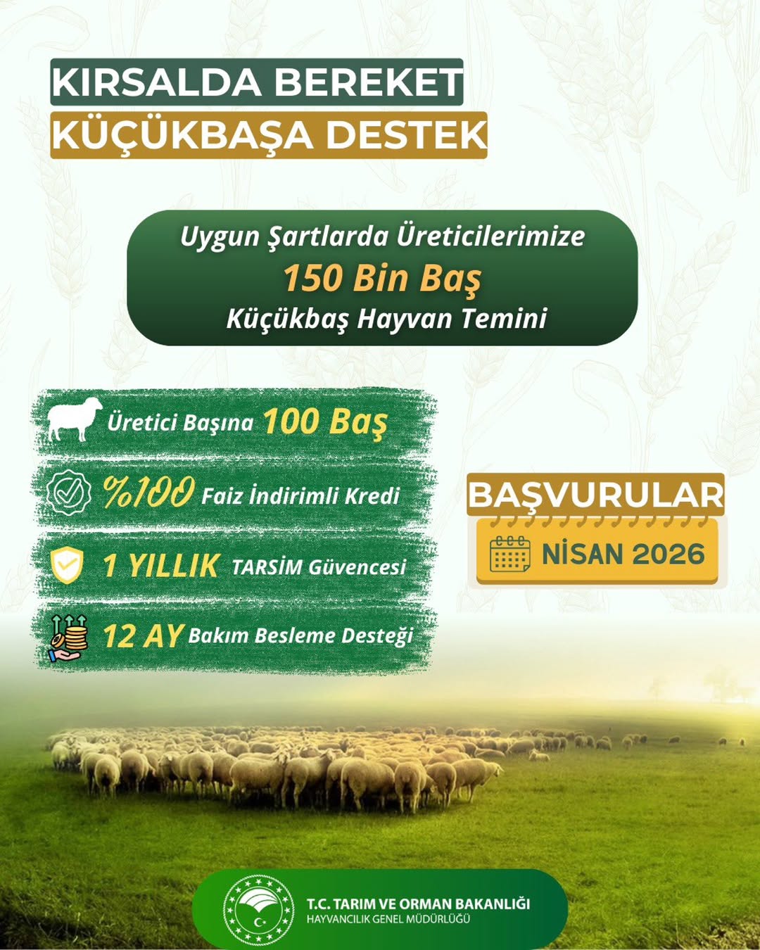 Kırsalda Bereket Küçükbaşa Destek Projesi Başlıyor!