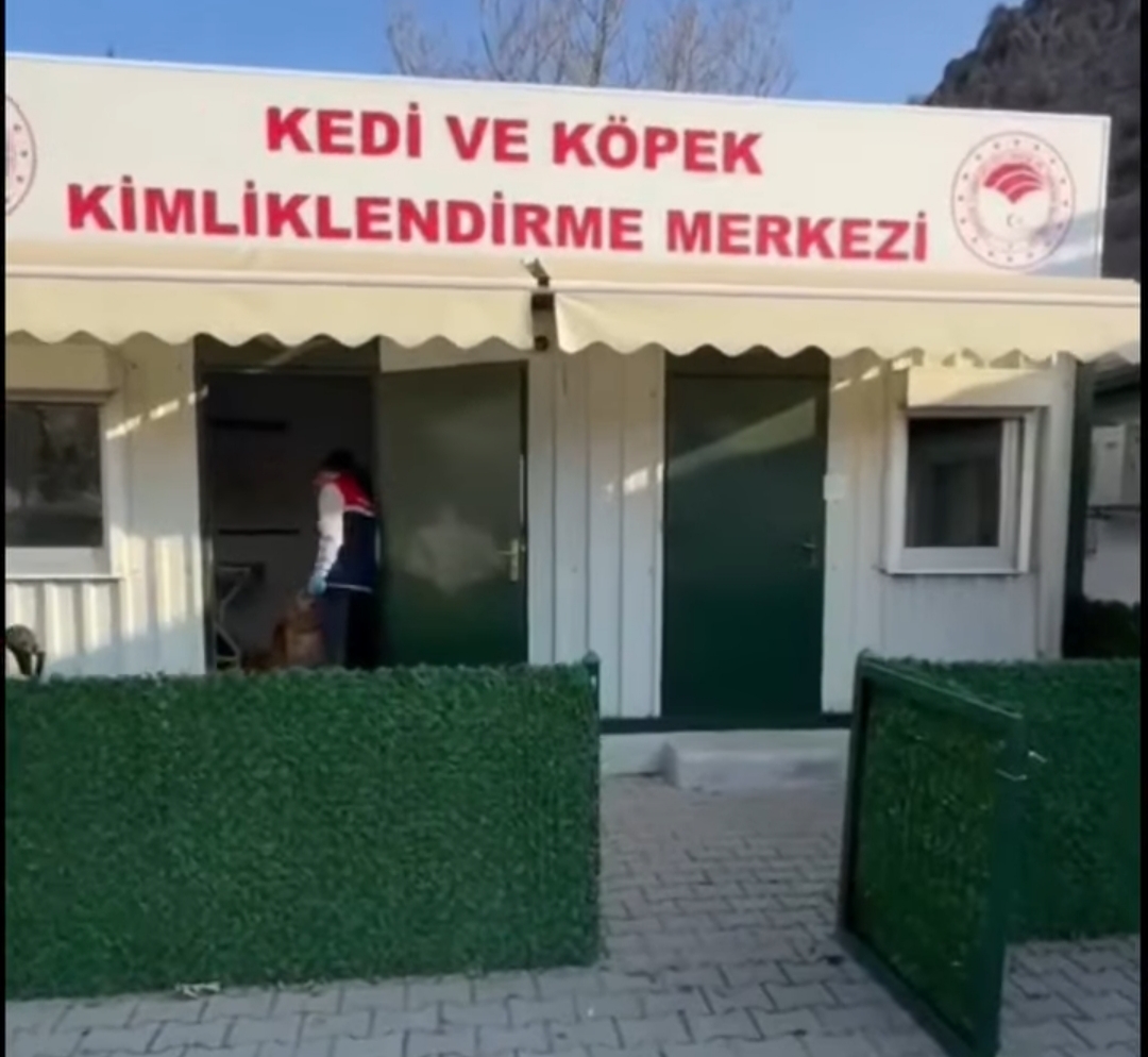 Mikroçip Uygulamasında Son Tarih Yaklaşıyor